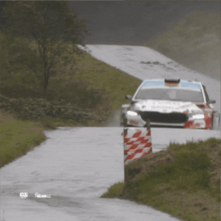 Motorsport Rallying GIF by FIA European Rally Championship