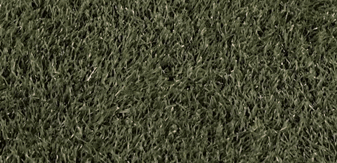 Womens Lacrosse GIF by Lafayette Leopards