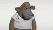 Come On Yes GIF by PG Tips