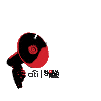 shawn mendes festival Sticker by Superfly