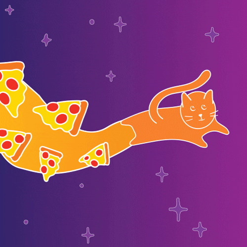 keeppizzaweird cat pizza pizzacat flyingcat GIF
