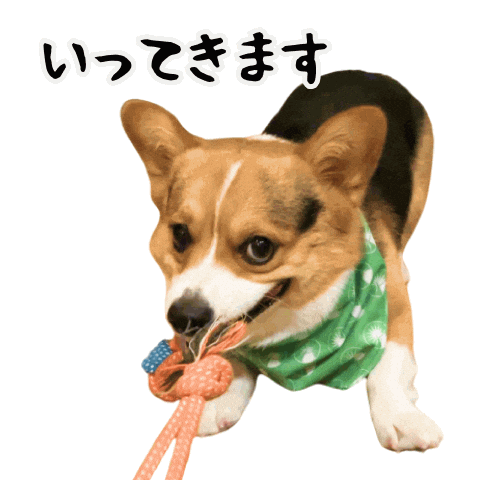 Corgi Milo Sticker