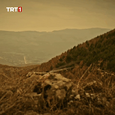 Army Helicopter GIF by TRT