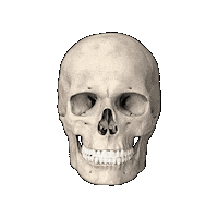 Emoji Skull Sticker