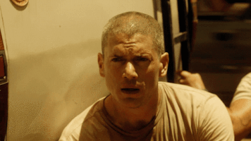looking michael scofield GIF by Prison Break