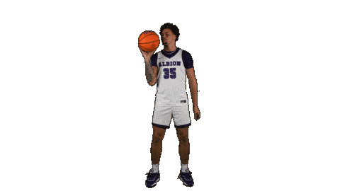 Ppp D3 Sticker by Albion College