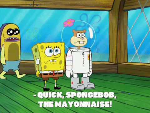 Season 8 GIF by SpongeBob SquarePants