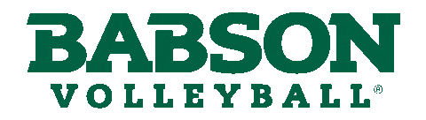 Team Go Sticker by Babson College