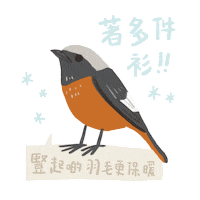 Bird Wildlife Sticker