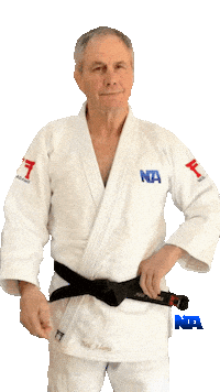 Ponder Martial Arts Sticker by NA Effective Fighting