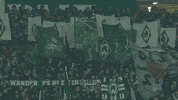 bundesliga flag GIF by SV Werder Bremen
