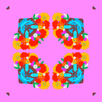 daisylemonart pink kaleidoscope yeehaw turquoise GIF