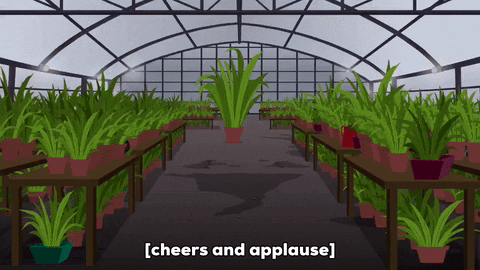 excited garden GIF by South Park 