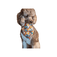 Disney Princess Sticker by Geekster Pets