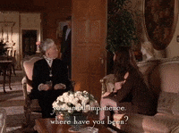 season 4 netflix GIF by Gilmore Girls 