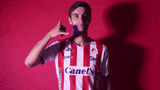 Sanluis Adsl GIF by Atlético de San Luis