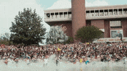 ucf knights ducks GIF