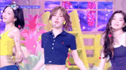 서핀무대 GIF