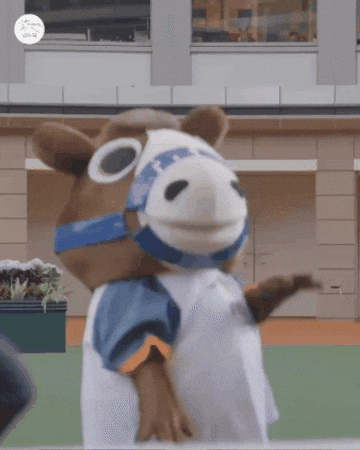 Happy Yeah Boy GIF by World Horse Racing