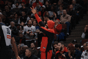 Jevon Carter Basketball GIF by Chicago Bulls