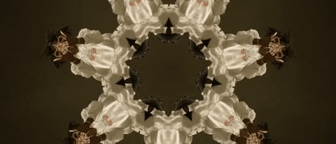 wokeuplikedis GIF by Playboi Carti