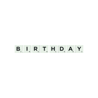 Happy Birthday Game Sticker by Mattel