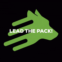 leaddogdigital ldd lead dog digital GIF