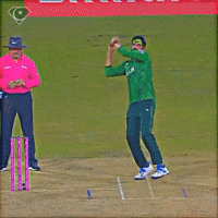India Cricket GIF