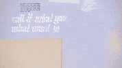 call it what you want GIF by Taylor Swift