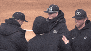 big ten celebration GIF by Purdue Sports