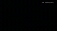 Speed Lines Logo