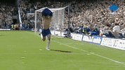 Celebration Goal GIF by MolaTV