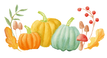 Pumpkin Patch Fall Sticker by Color Snack Creative Studio