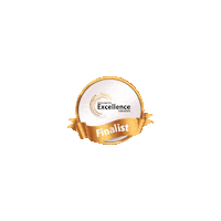 Chamber Of Commerce Finalist Sticker by PKChamber