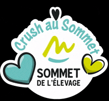 Crush Clermontferrand GIF by SOMMET ELEVAGE