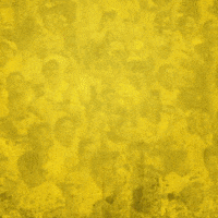 Futbol Cerveza GIF by PilsenerEC