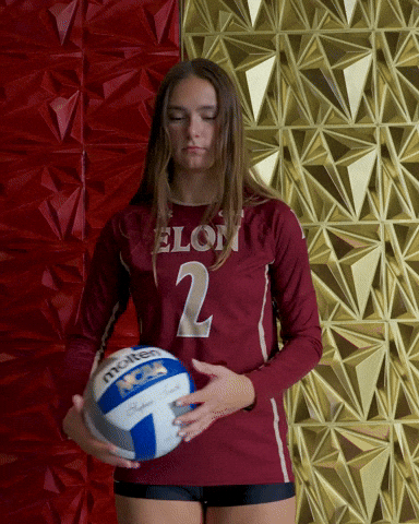 Elon Volleyball GIF by Elon Phoenix