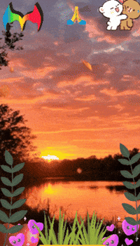 Tiene Para Ti GIF by Murcianys LLC