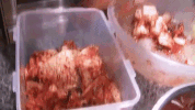 Korean GIF