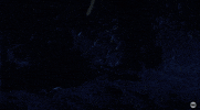 sad tv show GIF by Animal Kingdom on TNT