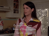 season 5 netflix GIF by Gilmore Girls 