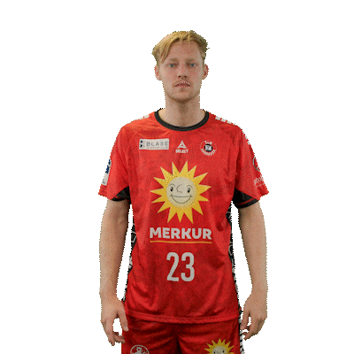 Handball Sticker by DAIKIN HBL