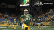 north dakota state football GIF by NDSU Athletics