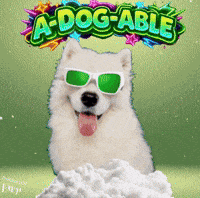 Kind Darling GIF