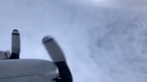 hurricane lane GIF