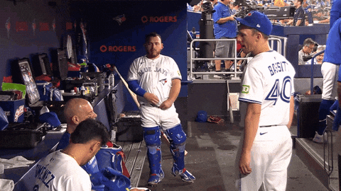 Blue Jays Baseball GIF by Toronto Blue Jays