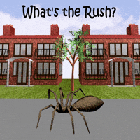 Rushing In A Hurry GIF