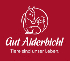 GutAiderbichl tiere gut aiderbichl gutaiderbichl tieresindunserleben GIF