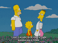 Happy Lisa Simpson GIF by The Simpsons