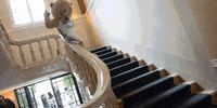 columbiauniversity new york city roar lions columbia GIF